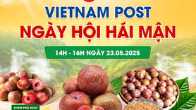 Sàn thương mại điện tử góp phần gỡ ‘nút thắt’ nông sản miền núi