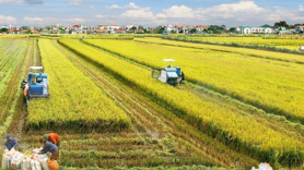 Miễn thuế sử dụng đất nông nghiệp đến hết ngày 31-12-2030