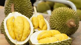 Xuất khẩu rau quả 2025, dự kiến khó về đích