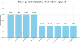 Giá heo hơi hôm nay 12/7/2025: Miền Bắc điều chỉnh giảm, miền Nam giữ đỉnh giá