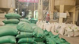Cú huých cho sản xuất lúa gạo vùng Đồng bằng sông Cửu Long