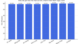 Giá heo hơi hôm nay 10/9/2025: Miền Bắc tăng đồng loạt