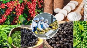 EVFTA hỗ trợ rất lớn cho hàng nông, thủy sản xuất sang Hà Lan