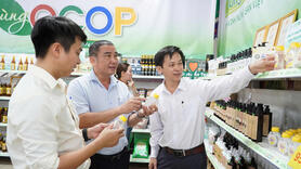 Quảng Ngãi: Khơi thông nguồn lực, hoàn thiện mục tiêu nông thôn mới