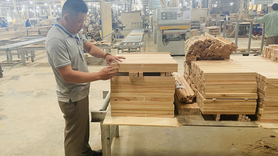 Quảng Trị: Gieo ‘thương hiệu’ từ sản phẩm công nghiệp nông thôn