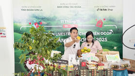Khai thác tiềm năng kinh tế số trong quảng bá sản phẩm OCOP
