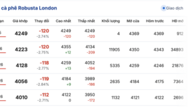 Giá cà phê hôm nay 17/11/2025: Trong nước đi ngang