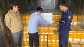 Thanh Hóa: Phát hiện 10 tấn cá khoai dùng chất cấm formol để bảo quản