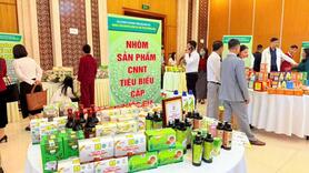 Quảng Trị: Tích cực nâng cao chất lượng sản phẩm công nghiệp nông thôn