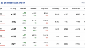 Giá cà phê hôm nay 28/1/2026: Tăng nhẹ 300 - 600 đồng/kg