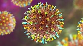 Bộ Y tế yêu cầu bảo đảm an toàn thực phẩm trong phòng, chống bệnh do virus Nipah