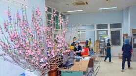 Hà Nội tăng cường công tác khám, chữa bệnh dịp Tết Nguyên đán