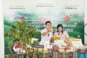 Khai thác tiềm năng kinh tế số trong quảng bá sản phẩm OCOP