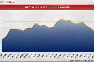Triển vọng nguồn cung dồi dào kéo giá lúa mì tiếp tục suy yếu