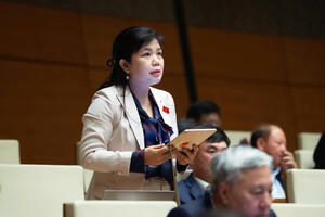 Đại biểu kiến nghị bổ sung cảng Con Ong - Hòn Nét vào quy hoạch quốc gia