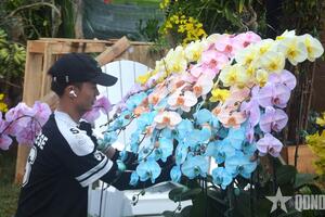 Đà Lạt sẽ cung cung cấp 4 triệu cây hoa lan hồ điệp trong dịp Tết Nguyên đán Bính Ngọ 2026