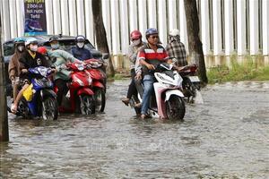 Ven biển Đông Nam Bộ có thể sắp có 3 đợt triều cường