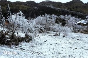 Thời tiết hôm nay (23-1): Hà Nội trời rét đậm, rét hại, Tây Bắc có nơi dưới 6 độ C