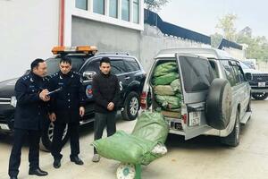 Bắt giữ gần 800 kg lá cây thuốc lá không có chứng từ hợp pháp tại Cao Bằng