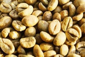 Nguồn cung khởi sắc, giá cà phê thế giới giảm