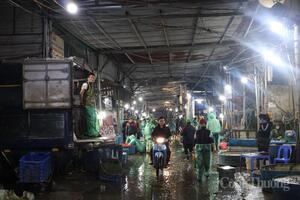 Chợ cá lớn nhất miền Bắc nhộn nhịp trong ngày tiễn ông Công ông Táo