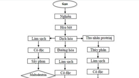 Hoàn thiện công nghệ sản xuất một số sản phẩm từ gạo ứng dụng trong công nghiệp thực phẩm