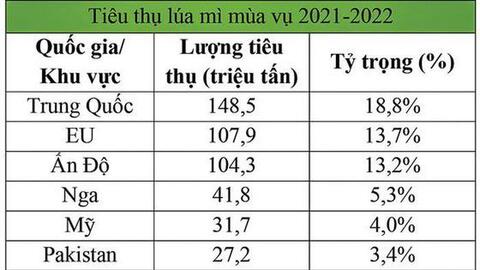 Giá lúa mì sẽ ổn định trong 2021-2022?