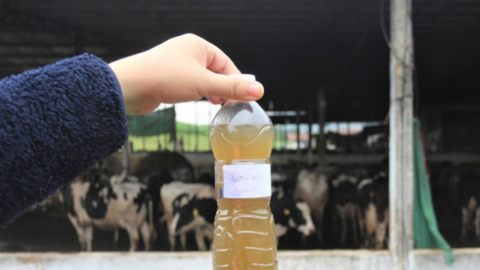 Phát triển chăn nuôi tuần hoàn nhờ lợi thế công nghệ sinh học