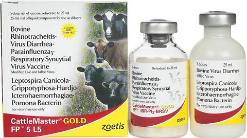 Megavet là đối tác chiến lược độc quyền mảng bò thịt, bò sữa, động vật nhai lại của Zoestis