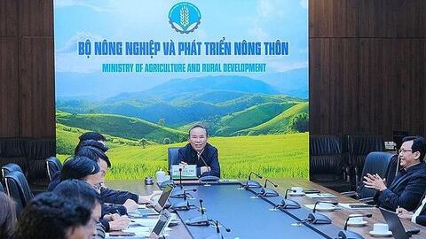 Vắc xin Dịch tả lợn châu Phi của AVAC dự kiến sẽ được sử dụng rộng rãi trong tháng 2/2023