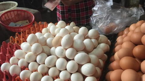 Giá trứng gia cầm giảm sâu