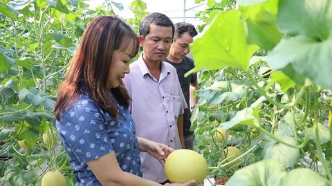 Đẩy mạnh tái cơ cấu ngành nông nghiệp tỉnh theo hướng nâng cao giá trị gia tăng và phát triển bền vững 