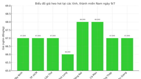 Giá heo hơi hôm nay ngày 9/7/2025: Đồng loạt giảm ở cả 3 miền