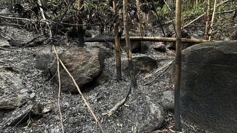 Đà Nẵng: Khống chế đám cháy xuyên đêm gây thiệt hại 10ha rừng