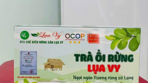 Đưa đặc sản xứ Lạng ra thị trường: Từ phiên chợ vùng cao đến sàn thương mại điện tử