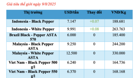 Giá tiêu hôm nay 9/8/2025: Thị trường ổn định, một số nơi tăng nhẹ