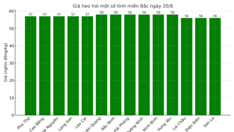 Giá heo hơi hôm nay 20/8/2025: Tiếp tục lao dốc