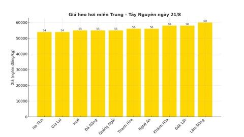 Giá heo hơi hôm nay 21/8/2025: Giảm trên toàn quốc