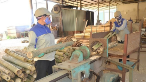 Chế biến sâu tre, luồng: Hướng thoát nghèo cho bà con xứ Thanh