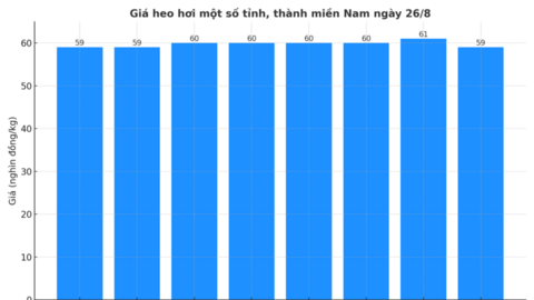 Giá heo hơi hôm nay 26/8/2025: Giảm tại nhiều địa phương
