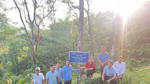 Quảng Ninh: Quế hữu cơ mở lối làm giàu cho đồng bào vùng cao