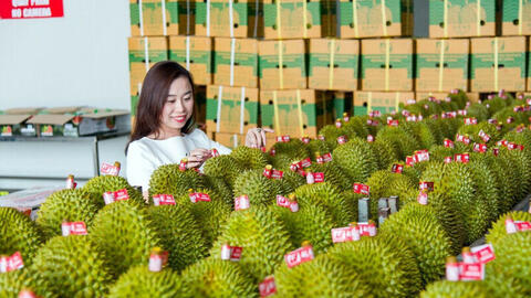 Nông sản Việt tại Trung Quốc: Vị thế được chắp cánh bởi 'cây cầu' RCEP