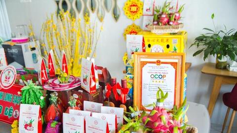 Thanh long Lâm Đồng vươn lên thành ngôi sao xuất khẩu - Bài 2: Chế biến sâu mở lối, OCOP nâng tầm