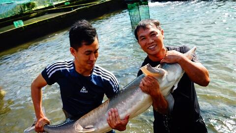 Các HTX Đam Rông nâng tầm nông sản, mở rộng thị trường tiêu thụ