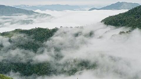 Giọt sương, hương khói và vị trà Tà Xùa giữa đại ngàn