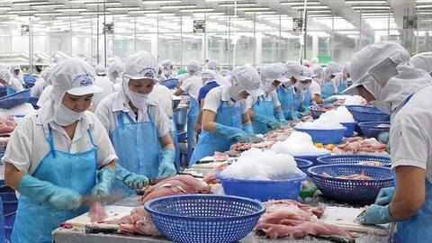 11 tháng, xuất khẩu cá tra Việt Nam vượt mốc 2 tỷ USD