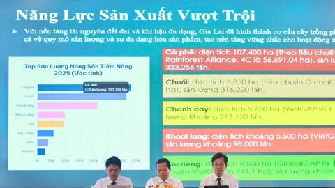 Nông sản Gia Lai và hành trình thâm nhập thị trường khó tính