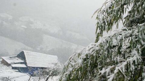 Trời rét đậm gần 0 độ C, đỉnh Mẫu Sơn xuất hiện băng giá