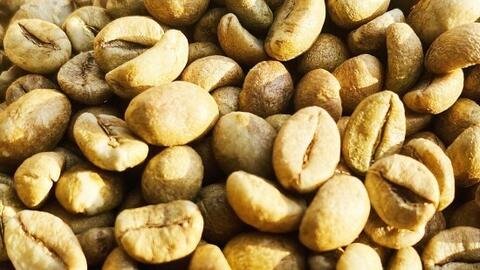 Giá cà phê thế giới lao dốc mạnh trước áp lực nguồn cung từ Brazil