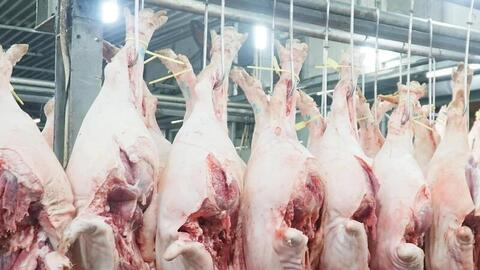 TP. Hồ Chí Minh: Chợ đầu mối sẵn sàng phục vụ cao điểm tết Bính Ngọ